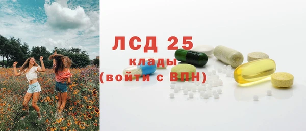 стаф Каменногорск