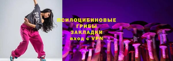 стаф Каменногорск