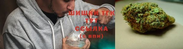 дурь Инсар