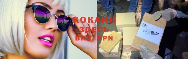 спиды Каменка