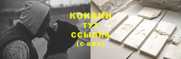 спиды Каменка