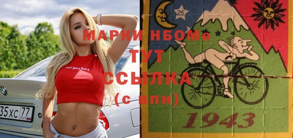 стаф Каменногорск