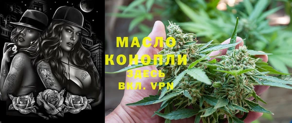 спиды Каменка