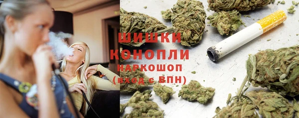 стаф Каменногорск