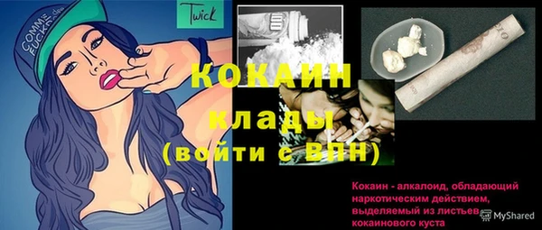 стаф Каменногорск