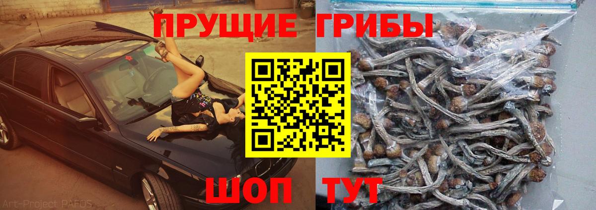 Псилоцибиновые грибы GOLDEN TEACHER  Вход с VPN  Кинешма 