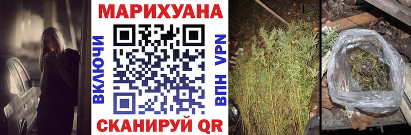 Бошки марихуана OG Kush  Кинешма 